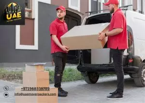 best villa movers in dubai
