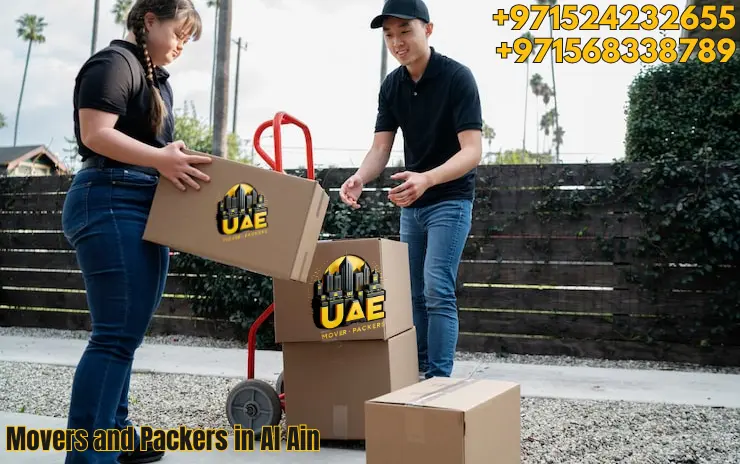 Movers and Packers in Al Ain